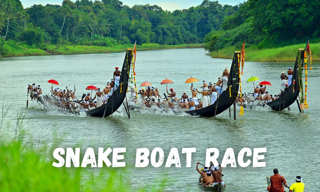 Snake Boat Race