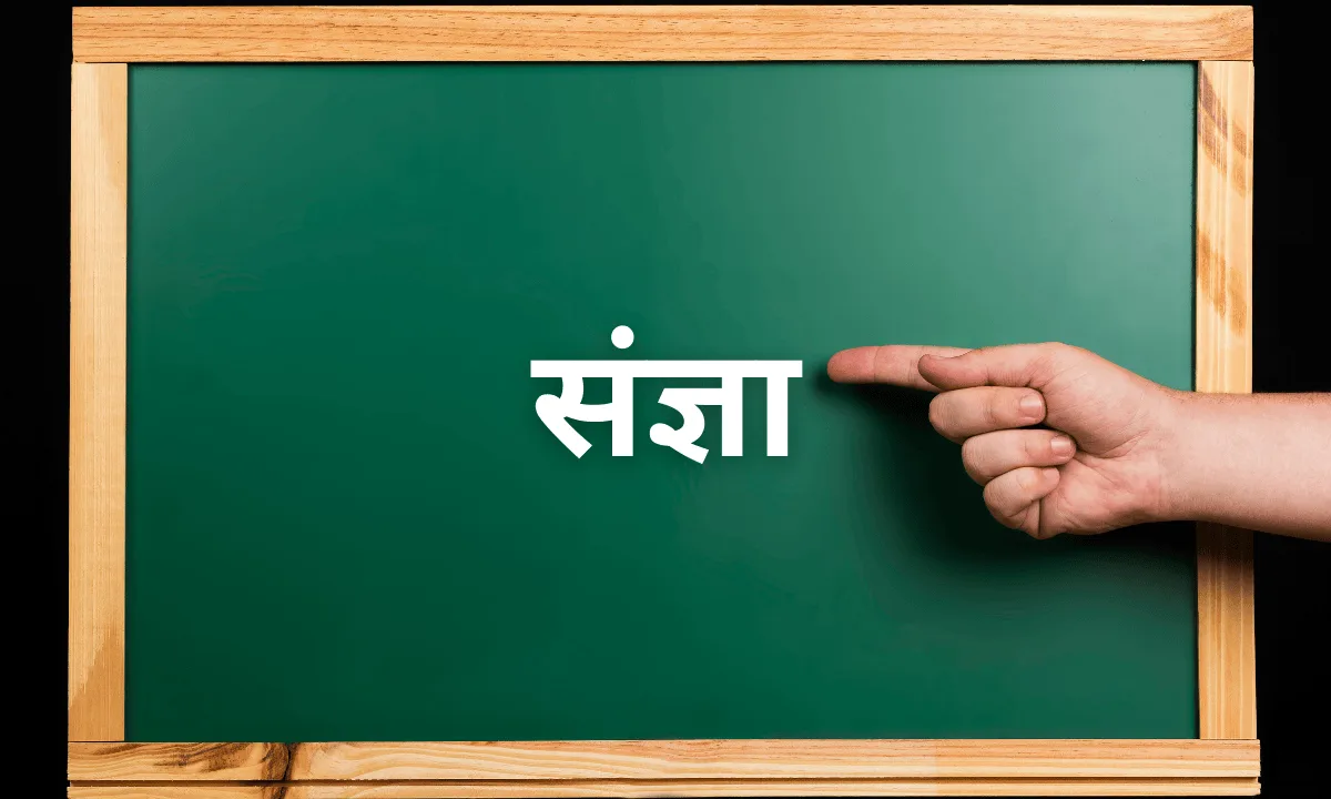 sangya kise kahate hain