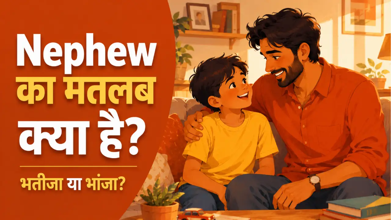 nephew meaning in hindi